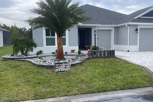 Tree & Shrub Services Tree & Shrub Services