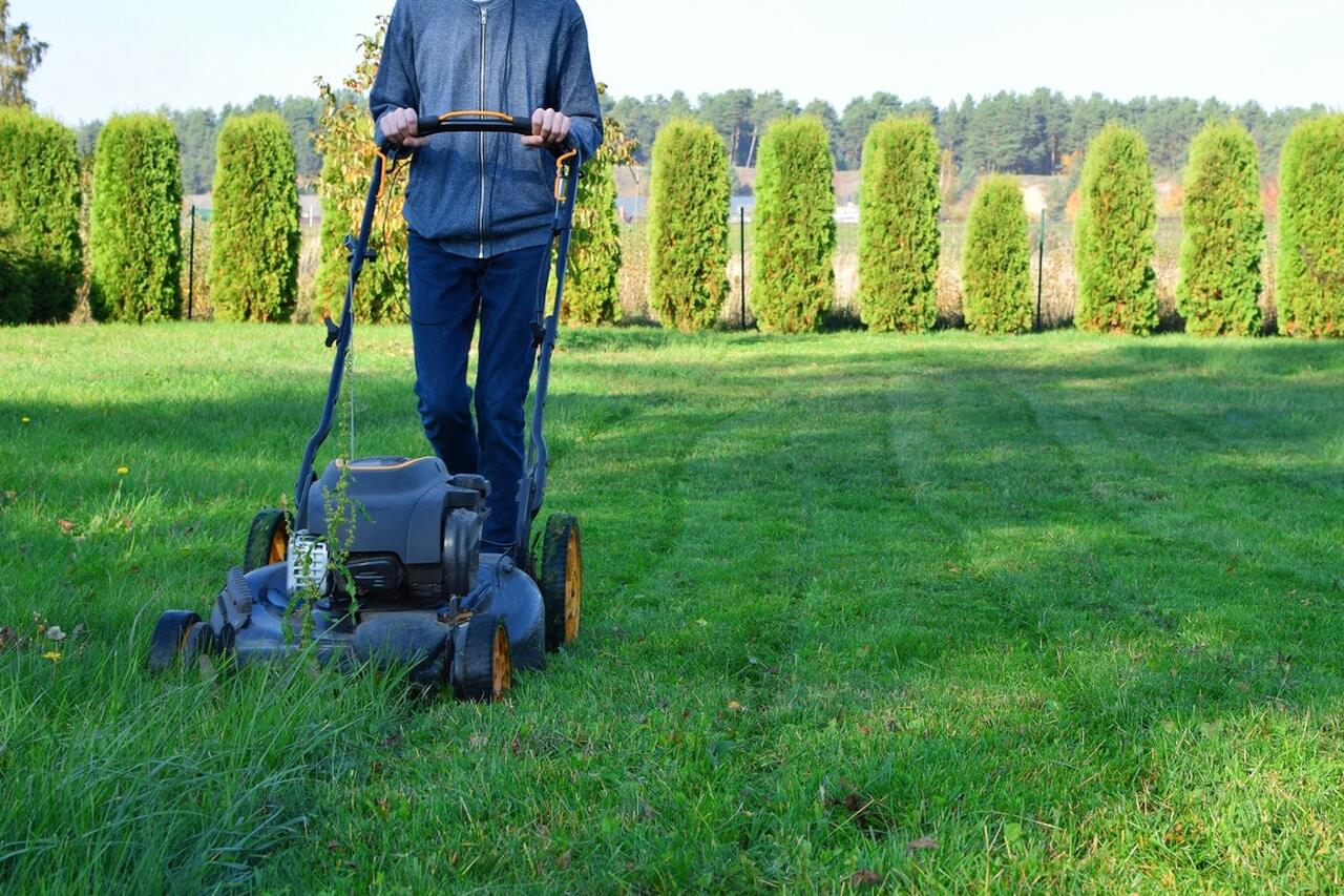 Reliable Landscaper in Summerfield, FL